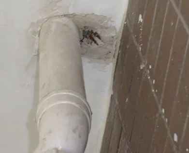 双阳漏水检测哪家好